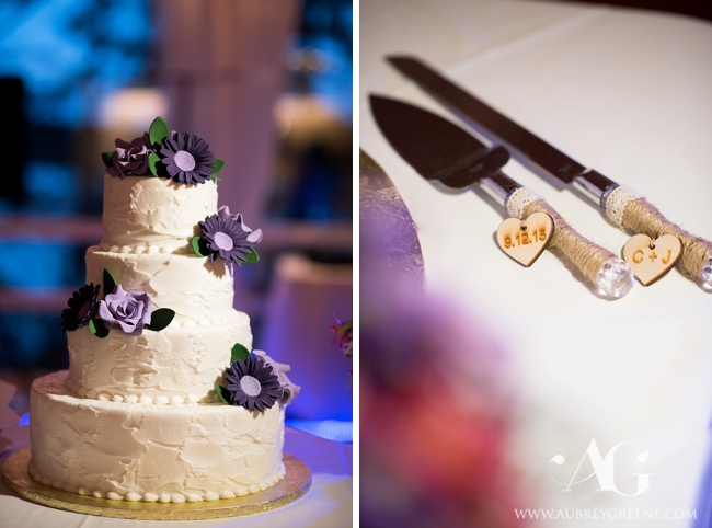 CatherineJasonWedding_BLOG_AubreyGreenePhoto-74_WEB
