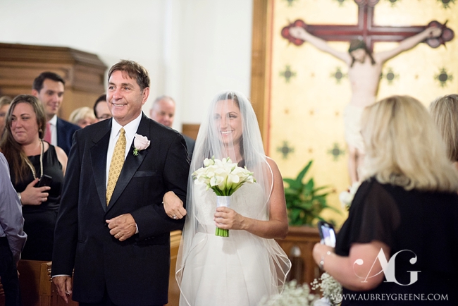 MuseumOfScienceWedding_AubreyGreenePhoto-43_WEB