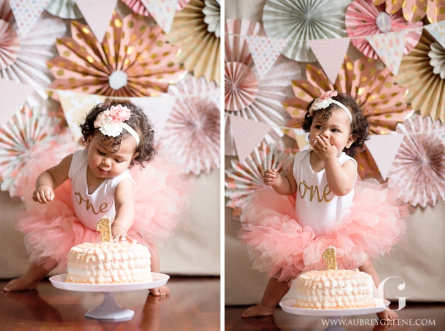 SofieCakeSmash_AubreyGreenePhoto-16_WEB