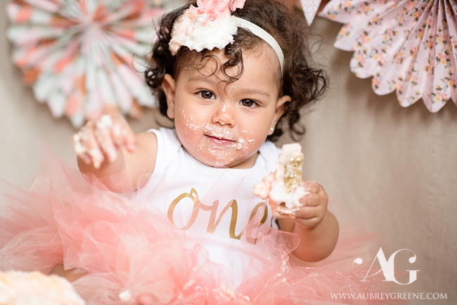 somerville cake smash massachusetts boston