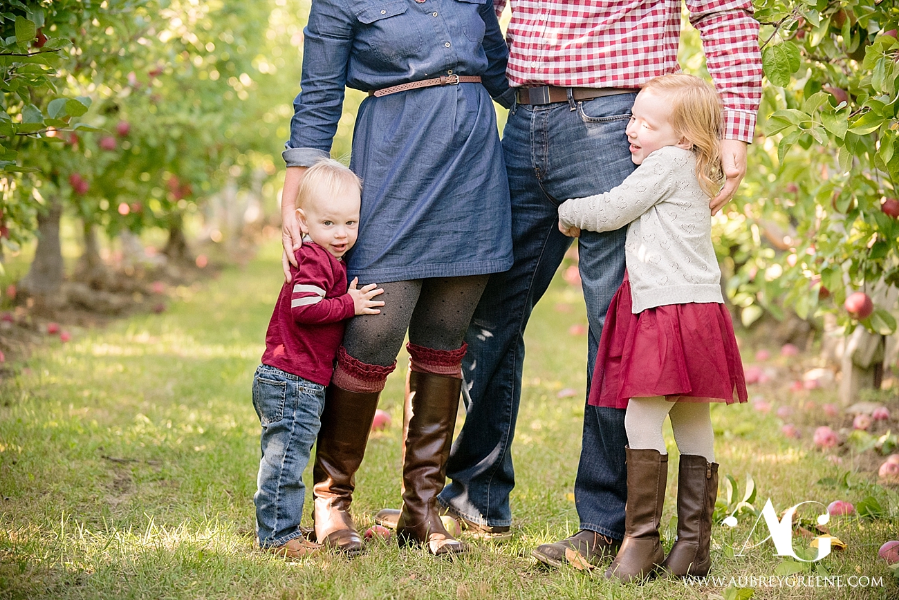 tougas family farm, northboro, massachusetts, tougas family portrait, tougas farm family session