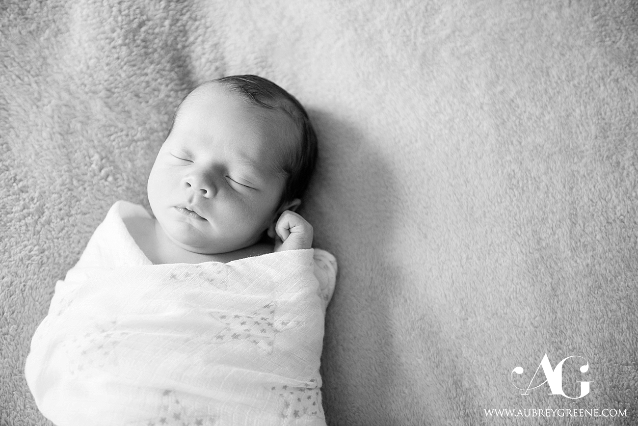 franklin ma family session, newborn session, newborn lifestyle, franklin ma newborn photographer