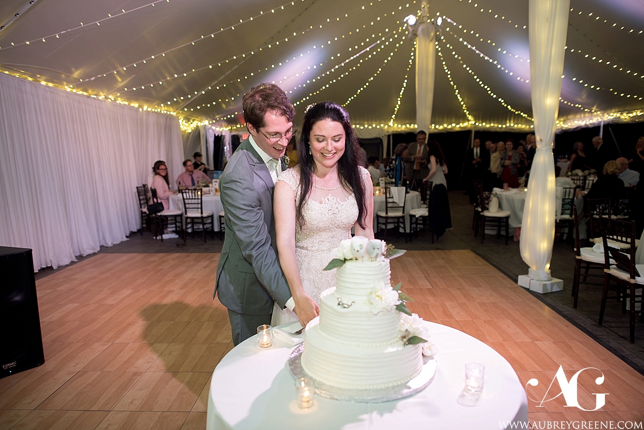 blithewold mansion wedding, bristol ri wedding, mansion wedding, summer wedding, ri wedding photographer