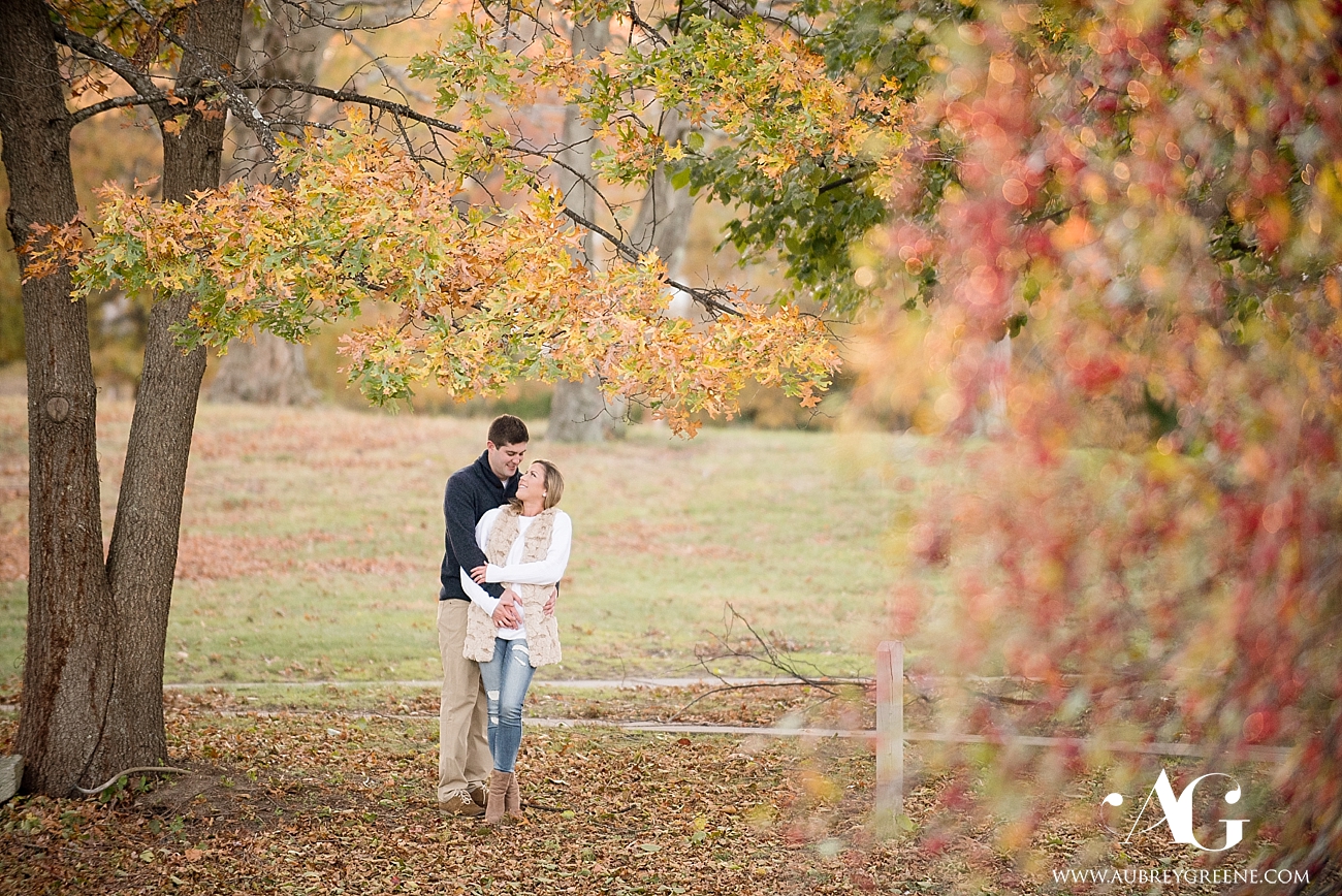 engagement session at francis william bird park, walpole, massachusetts, fall engagement session, engagement session in tall grass, wedding photographer in MA